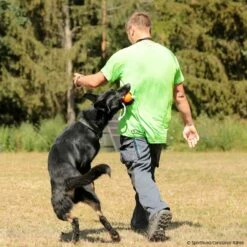 SPORTHUND Active-Shirt Herren Neon -Hunter Shop 5700690m071sporthund active shirt 5700692 dsh