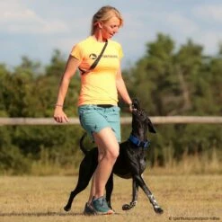 SPORTHUND Active-Shirt Damen Neon 7 SPORTHUND Active-Shirt Damen Neon -Hunter Shop 5700695m071sporthund active shirt 5700696 hound