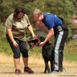 T-Shirt VIEH-Bike -Hunter Shop 570070106t shirt vieh bike damen 5700706 schnauzer