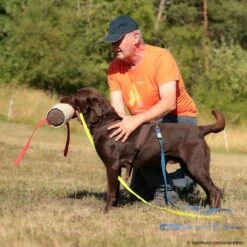 T-Shirt Teampartner -Hunter Shop 570070207t shirt doppelpack herren 5700702 labradorURynIHjt1BfKW