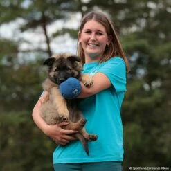 T-Shirt Trainingsweltmeister -Hunter Shop 570070307t shirt trainingsweltmeister damen 5700708 welpe