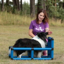 T-Shirt Vollgas Damen -Hunter Shop 570070907t shirt teampartner vollgas 5700709 sheltie 1UVpCZNyP4GI0j