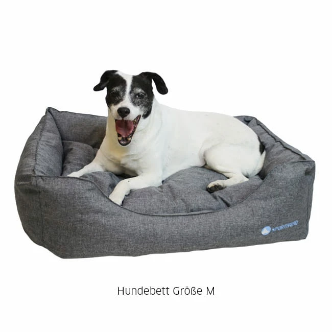 Sporthund Hundebett 5 Sporthund Hundebett – Bild 5