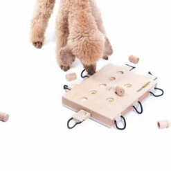 Geschicklichkeitsspiel IPet Smart Laptop -Hunter Shop 701363607ipet smart dog laptop anwendung2 7013636