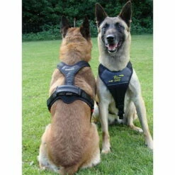 Hundeführgeschirr Follow SPORT 5 Hundeführgeschirr Follow SPORT -Hunter Shop 7017048m07follow sport gr l schwarz anwendungsbild 7017050 7017048 7017049 7017051