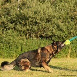 MOPIK HULA 8 MOPIK HULA -Hunter Shop 702132606mopik hula blau gruen p4dc8322 7021326i3VKbhQ8D9lQh