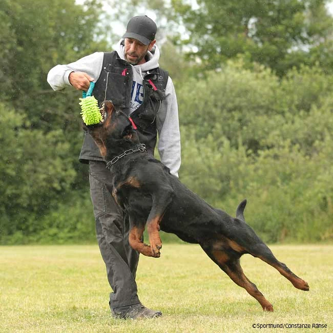 MOPIK HULA 5 MOPIK HULA – Bild 5