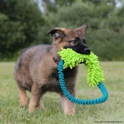 MOPIK HULA 11 MOPIK HULA -Hunter Shop 7021326074mopik hula blau gruen crt 7369 7021326