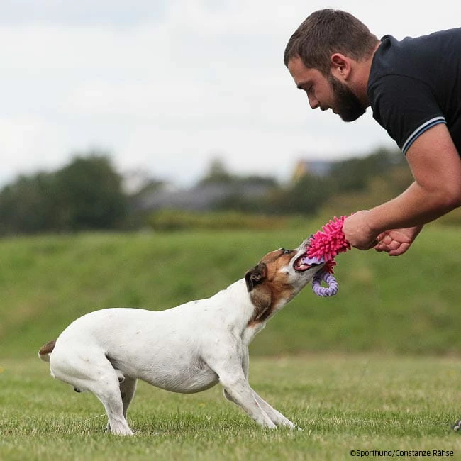 MOPIK HULA 4 MOPIK HULA – Bild 4