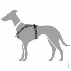Hunter Hundegeschirr Divo 7 Hunter Hundegeschirr Divo -Hunter Shop 7021910m07hunter hundegeschirr divo grau detail2 7021910mA1dXzCXtjynD1