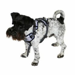 Hunter Hundegeschirr Divo Reflect -Hunter Shop 7021931m072hunter geschirr divo reflect anwendung zwergschnauzer 7021932