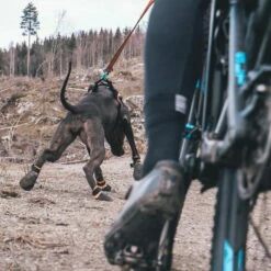 Non-Stop Protector Bootie -Hunter Shop 702212307non stop protector bootie anwendung2 7022123