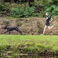 Non-Stop Dogwear Bungee Leash 2m -Hunter Shop 702212507non stop dogware bungee leash anwendung 7022125