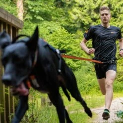 Non-Stop Dogwear Bungee Leash 2,8m 6 Non-Stop Dogwear Bungee Leash 2,8m -Hunter Shop 702212607non stop dogware bungee leash anwendung3 7022125