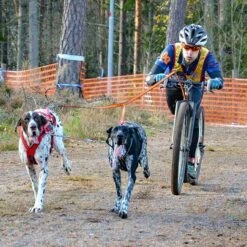 Non-Stop Dogwear Bungee Leash Double -Hunter Shop 7022127071bungee leash pro double anwendung2 7022127