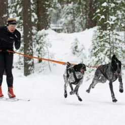 Non-Stop Dogwear Bungee Leash Double -Hunter Shop 702212707bungee leash pro double anwendung 7022127