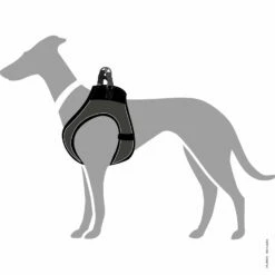 Hunter Hundegeschirr Hilo Comfort -Hunter Shop 7022200m071hunter geschirr hilo passform 7022201hJwK8jChELaoZ