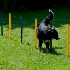 Hunter Shop -Hunter Shop 703036606agility huerden und slalomset 7030366