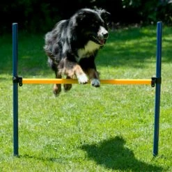 Agility Einsteigerset Hürden, Slalom, Box -Hunter Shop 7030366071agility huerden und slalomset huerde 70303661HNfOi42XjrCr