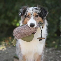 Duck Dummy Mit Fell -Hunter Shop 703038707duck dummy mit fell anwendung 7030387ooBMlC0Ele4bg