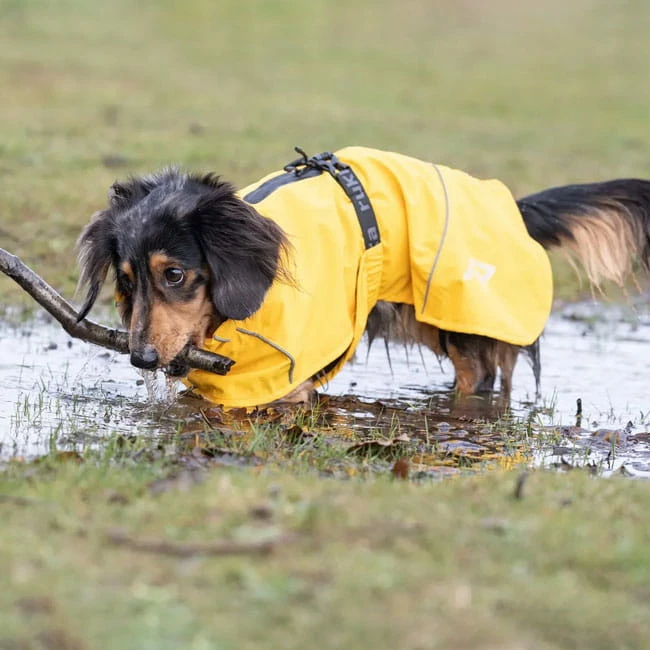 Rukka Pets Hayton Eco Raincoat 3 Rukka Pets Hayton Eco Raincoat – Bild 3