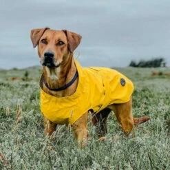 Hunter Hunde Regenmantel Milford 8 Hunter Hunde Regenmantel Milford -Hunter Shop 7226500m071hunter regenmantel milford anwendung1 722650065t2cAhm20san