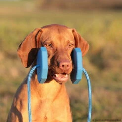 Obedience Holz-Apportel Mit Seil -Hunter Shop 7261540m07obedience holz apportel mit seil 7261601 magyar vizsla