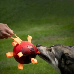 Dog Comets Hypernova -Hunter Shop 7265140m06dog comets hypernova anwendung 7265140m