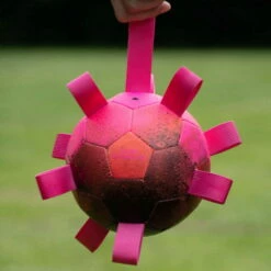 Dog Comets Hypernova -Hunter Shop 7265140m07dog comets hypernova anwendung2 7265140m