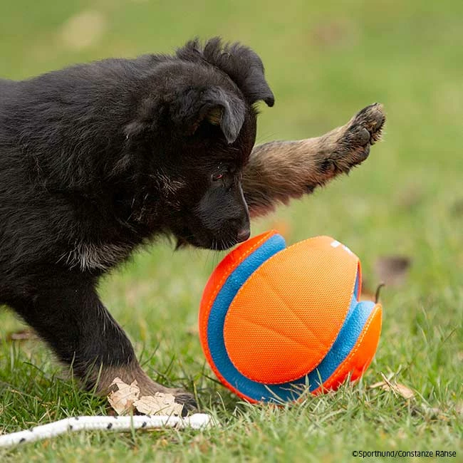 Chuckit Kick Fetch 2 Chuckit Kick Fetch – Bild 2