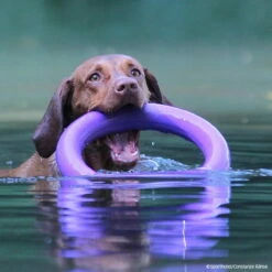 PULLER-Ringe -Hunter Shop 7270770m071pullerringe p4dc9416 7270772LMKCHSESMIfHJ