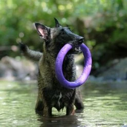 PULLER-Ringe -Hunter Shop 7270770m07pullerringe p4dc0570 727077201DSneqtKNTk8