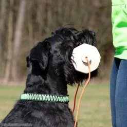 Sporthund IGP-Apportierholz 650g Havatar -Hunter Shop 7281406071knutfuchs havatar 7281406 schnauzeruYs0WsOvYbDKM