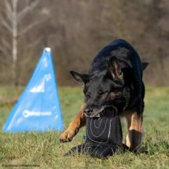 Sporthund Triple Star Kissen -Hunter Shop 7334208071sporthund triplestarkissen 7334208 dshUN5K3a3eMNTtD