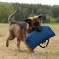 Sporthund Welpen Hohlbeißkissen -Hunter Shop 733421707welpenkissen 7334217 dshTZbxLWm5548Xs