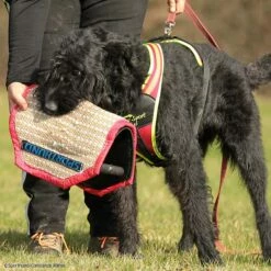 3-Griff-Kissen Plus -Hunter Shop 7334222071sporthund 3griffkissen p4dc5742 7334222