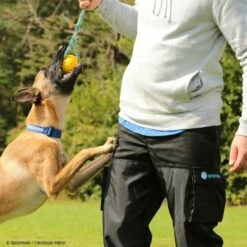 Hundeführerhose Schwarz 7 Hundeführerhose Schwarz -Hunter Shop 7335222071sporthund hundefuhrerhose schwarz 7335222 hf1