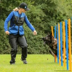 Sporthund Netzweste Fashion -Hunter Shop 7335254071sporthund netzweste fashion 7335254 dsh