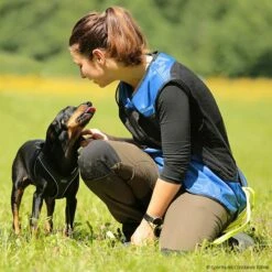 Sporthund Netzweste Fashion -Hunter Shop 733525407sporthund netzweste fashion 7335254 brackerdTv8EeEJRCDj