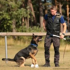 Hundeführerweste Fashion 2.0 Hooded 9 Hundeführerweste Fashion 2.0 Hooded -Hunter Shop 7335701073hundefuhrerweste fashion 2 0 hooded 7335705 dshoFV4zDfzwiCrS