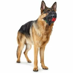 Hunter Maulkorb Albury -Hunter Shop 7336430m071hunter maulkorb albury anwendung 7336430m