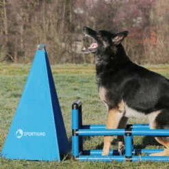 Sporthund Q-Box -Hunter Shop 73572100717357210 sporthund q box verbellen neu0eSfm3tz3jMtF