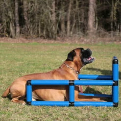 Sporthund Q-Box -Hunter Shop 73572100737357210 sporthund q box platz neu05AtVEl4JKtrI