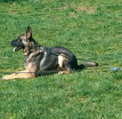 Sprenger Auslauf-Block -Hunter Shop 7410930 570sPq5JJvLHqO