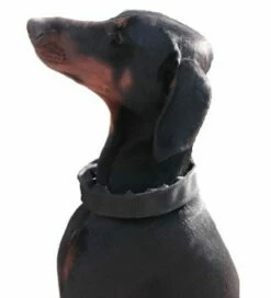 Verkleidung Für 3,2mm Stachelhalsbänder -Hunter Shop 7423550sbb