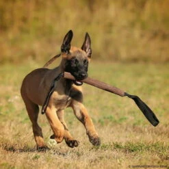 Sporthund Lederbeißwurst Flach 4 X 26 Cm 2G -Hunter Shop 742410207beisswurst leder flach 4 x 26cm 2g 7424102 malinois24syge93B4T2m