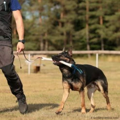 Beißwurst-Peitsche -Hunter Shop 742410507sporthund beisswurst peitsche 7424105 dsh 1