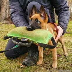 FreshLine Beißkissen -Hunter Shop 742501507freshline beisskissen 7425015c4XJMnWoXYbFh