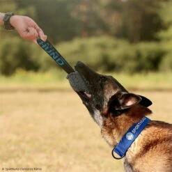 Sporthund Plüschwürfel -Hunter Shop 7425086071sporthund pluschwurfel 7425086 malinois 2fqLdJfkwQ6ytu