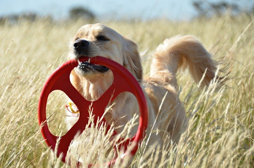 Hunter Shop -Hunter Shop VXIOfMZ z mcwNkH RA7rkGbMR 4F8Ty